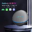 ANDROID AL BOX 8/128GB